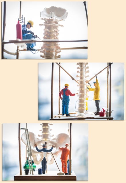 Wirbelsäule mit Handwerkern